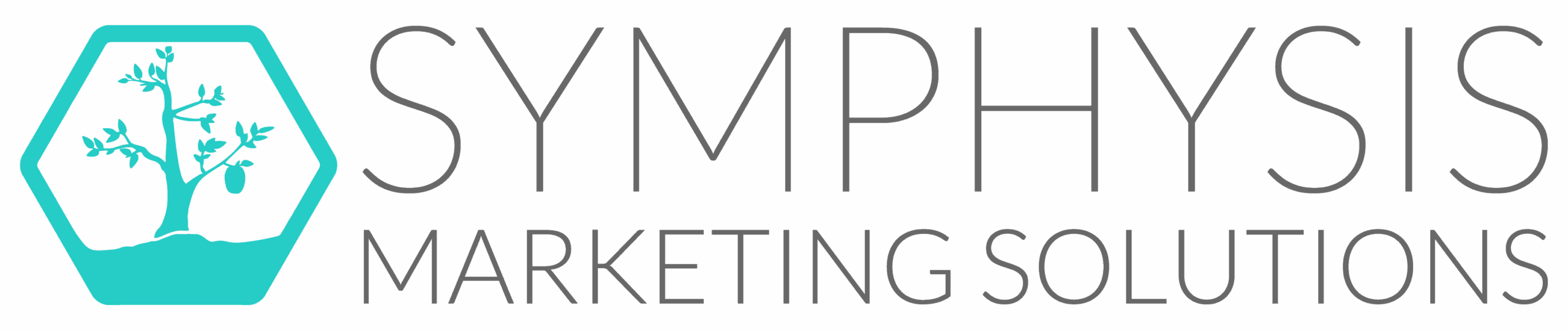 Symphysis Marketing Solutions marketing firm in Seattle logo